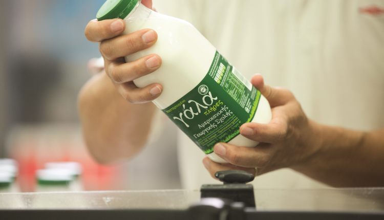 American Farmer School  7