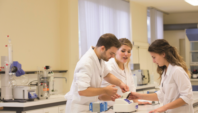 American Farmer School   5