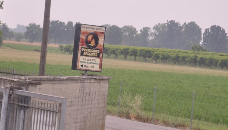 Caseificio Nuova Martignana, Italy