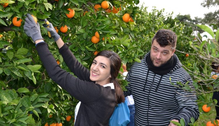 Geoponiko University, Orange CSR