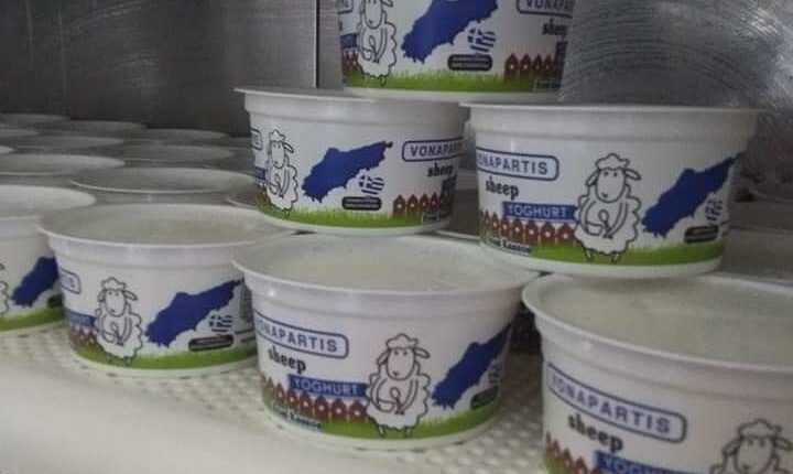 yogurt sheep