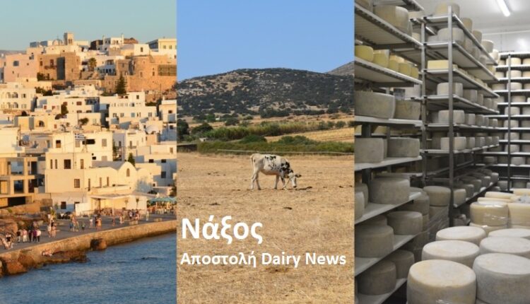Naxos, reportage 2021