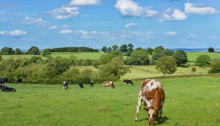 EE: νέες εμπορικές ευκαιρίες για τους εξαγωγείς αγροτικών προϊόντων