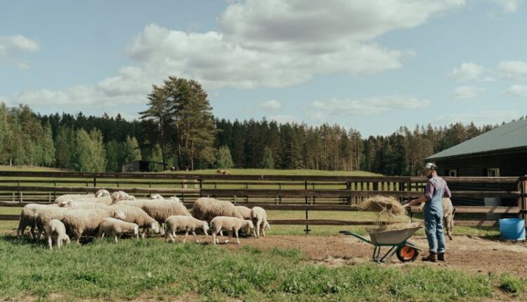 Συγκροτείται η Εθνική Επιτροπή AKIS για την εκπαίδευση και κατάρτιση των αγροτών