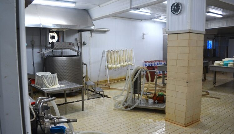 Papanikolaou creamery 2025 Samothraki b