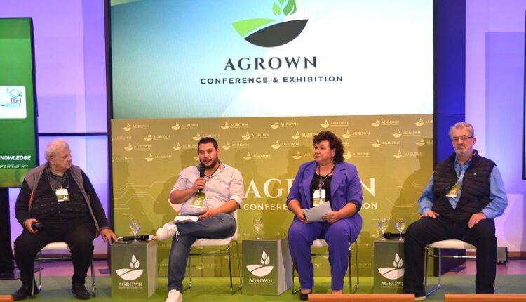 Agrown 2024, Magda, Moschos, Michailidis