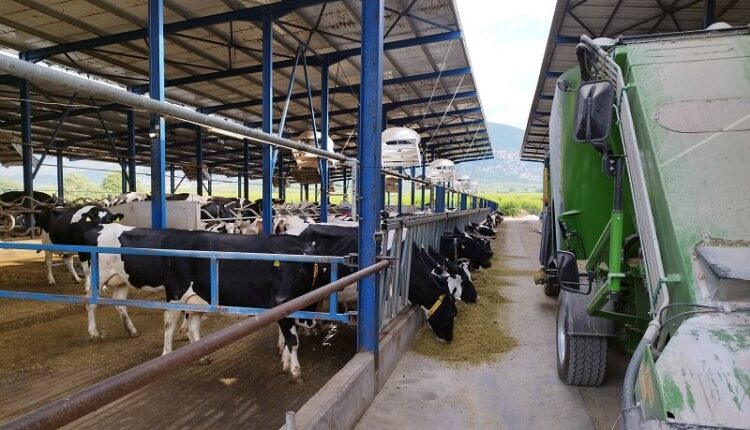 Karampatzakis farm a
