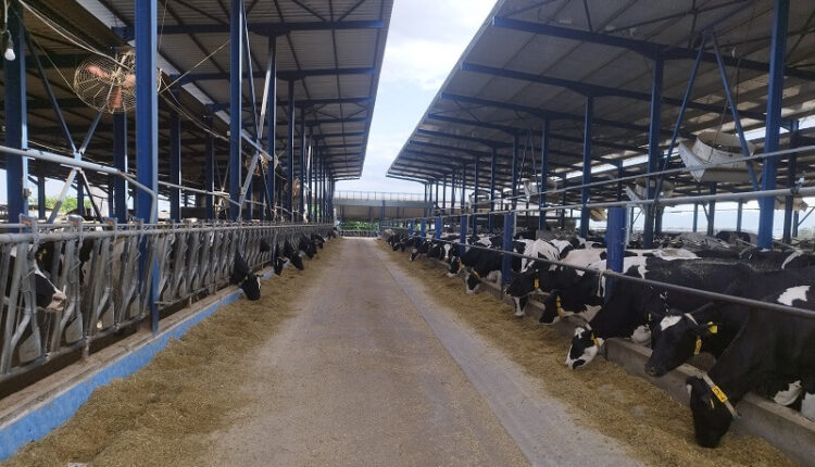 Karampatzakis farm b