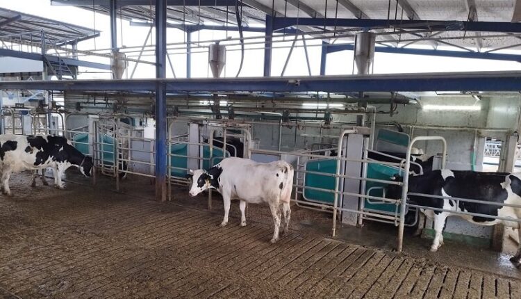 Karampatzakis farm c